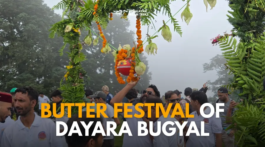 Butter Festival Blog