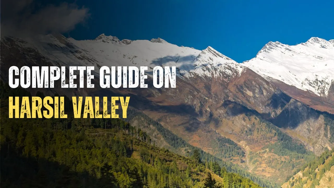 Harsil valley guide