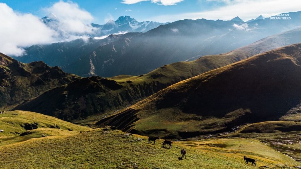 Near Kyarki Bugyal