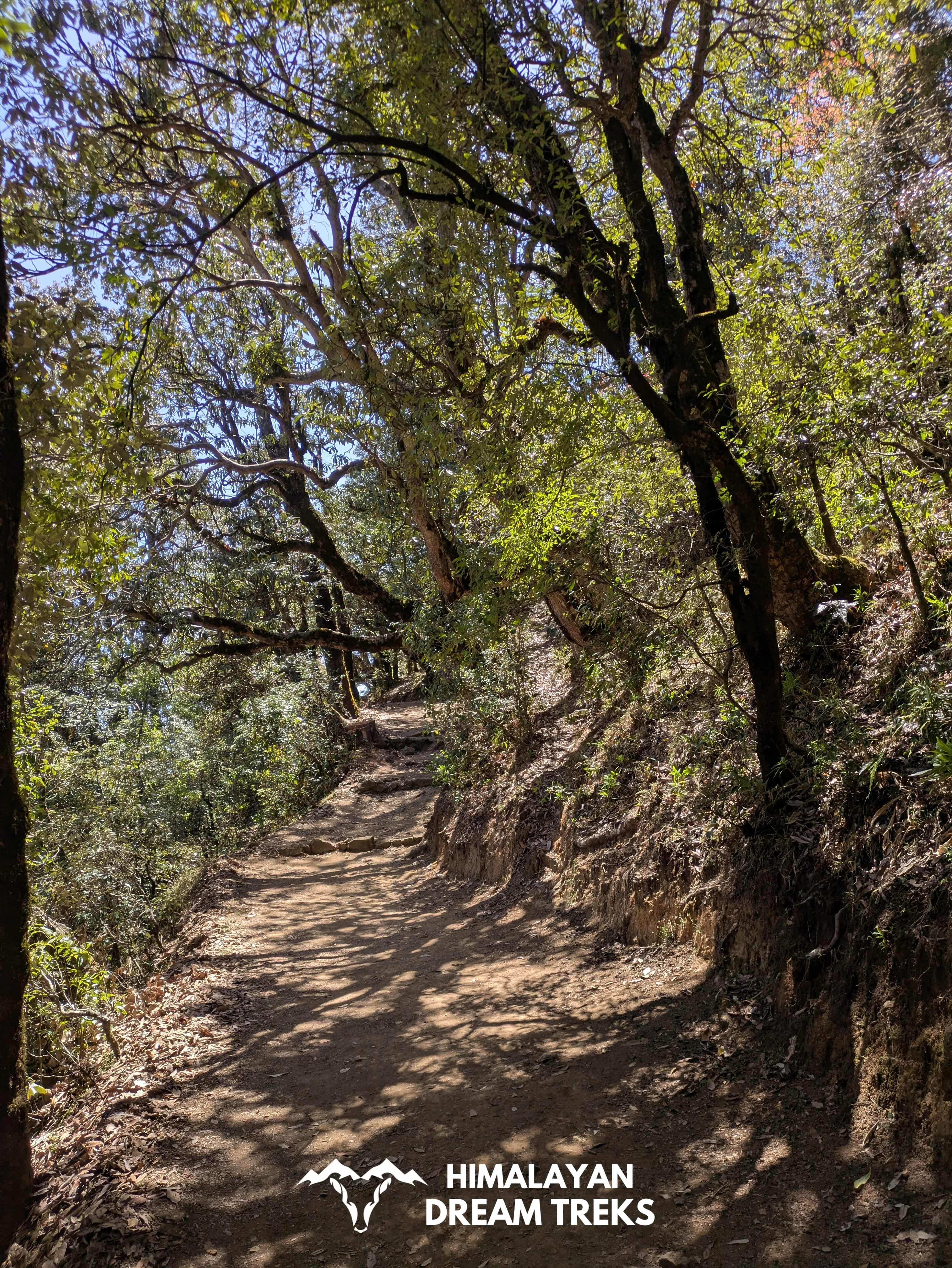 Trail towards Nachiketa Tal