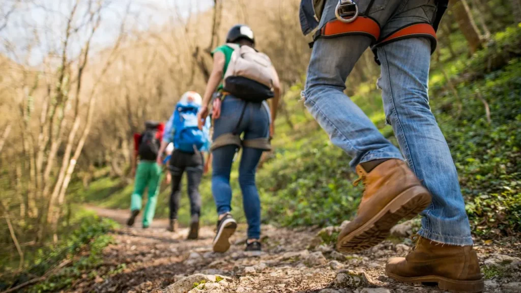 Hiking Shoe