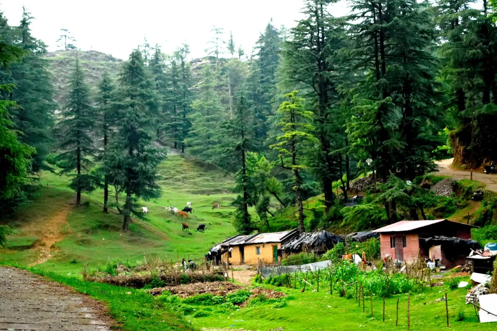 Park Estate, George Everest, Mussoorie