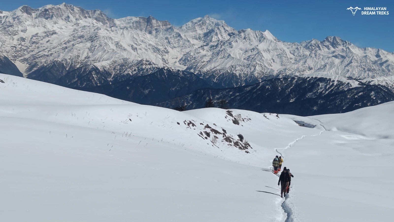 Trekkers moving towards Dayara Bugyal