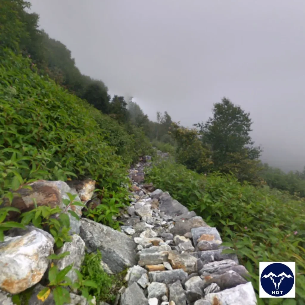 forest nature trails in valley of flowers