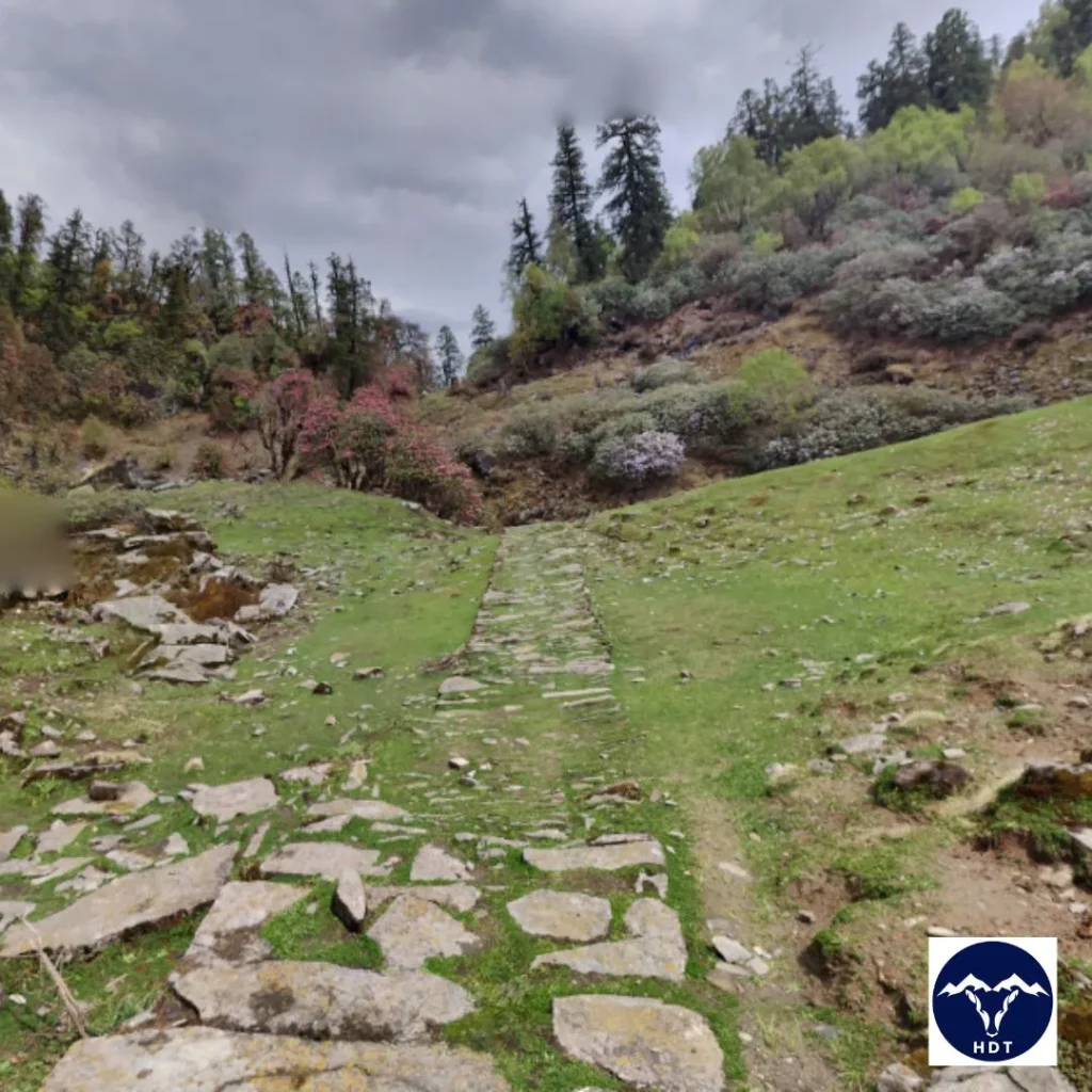 forest of rhododendron during the ranthan kharak trek