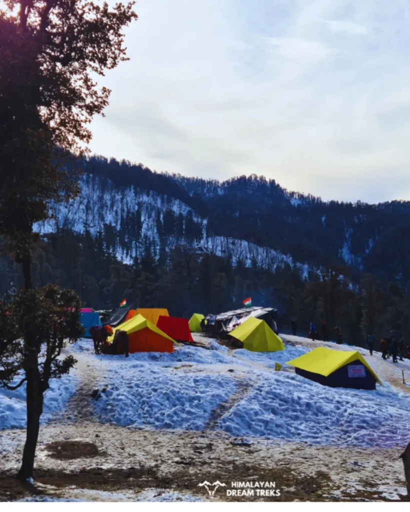 a_perfect_campsite_at_kedarkantha_basecamp