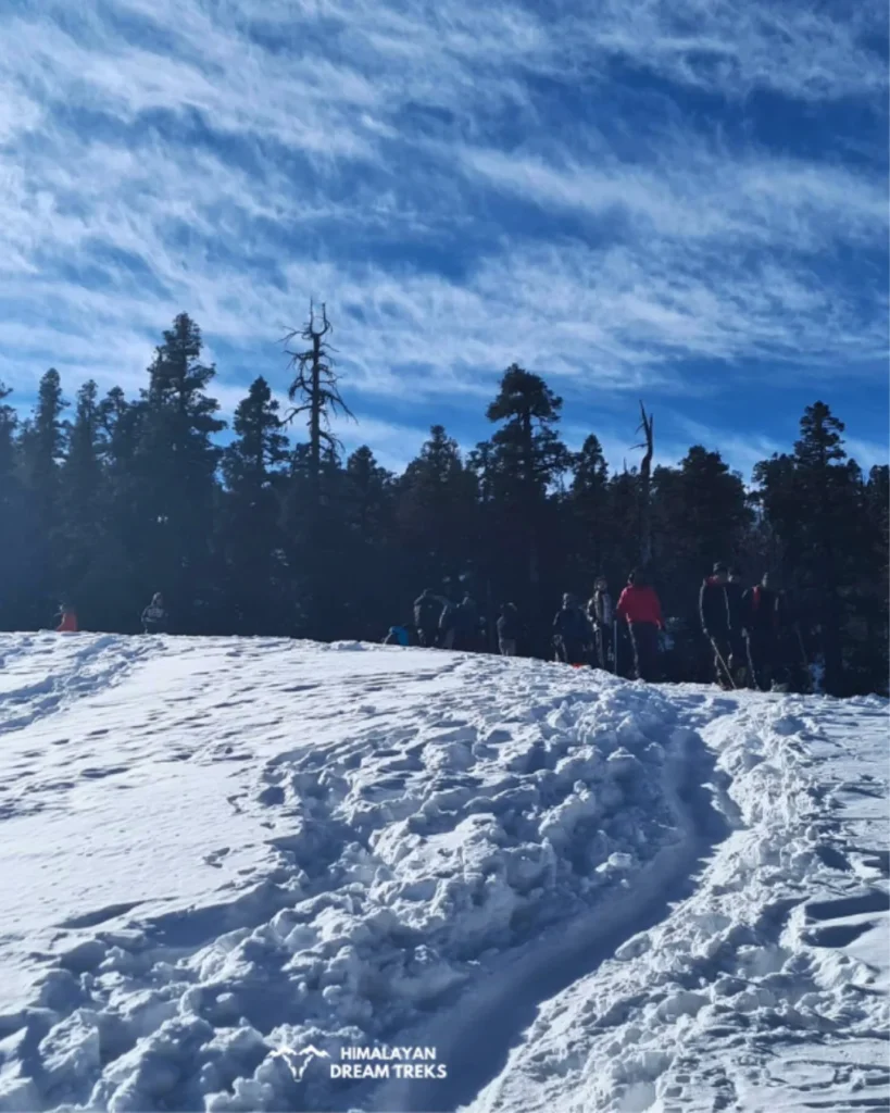 trekkers ascending on the snowy trail of kedarkantha trek