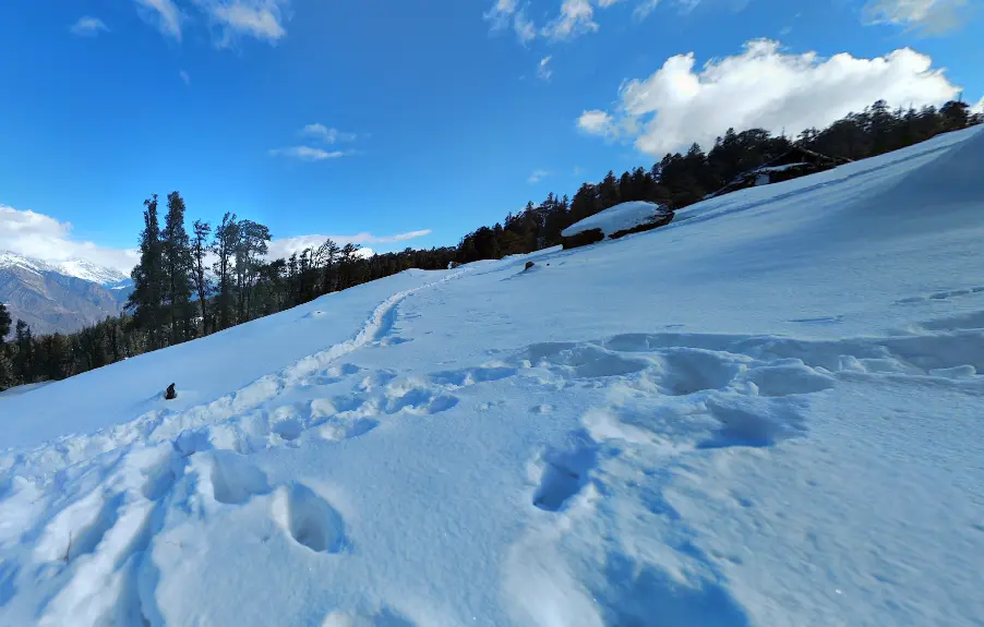 snow at KedarKantha