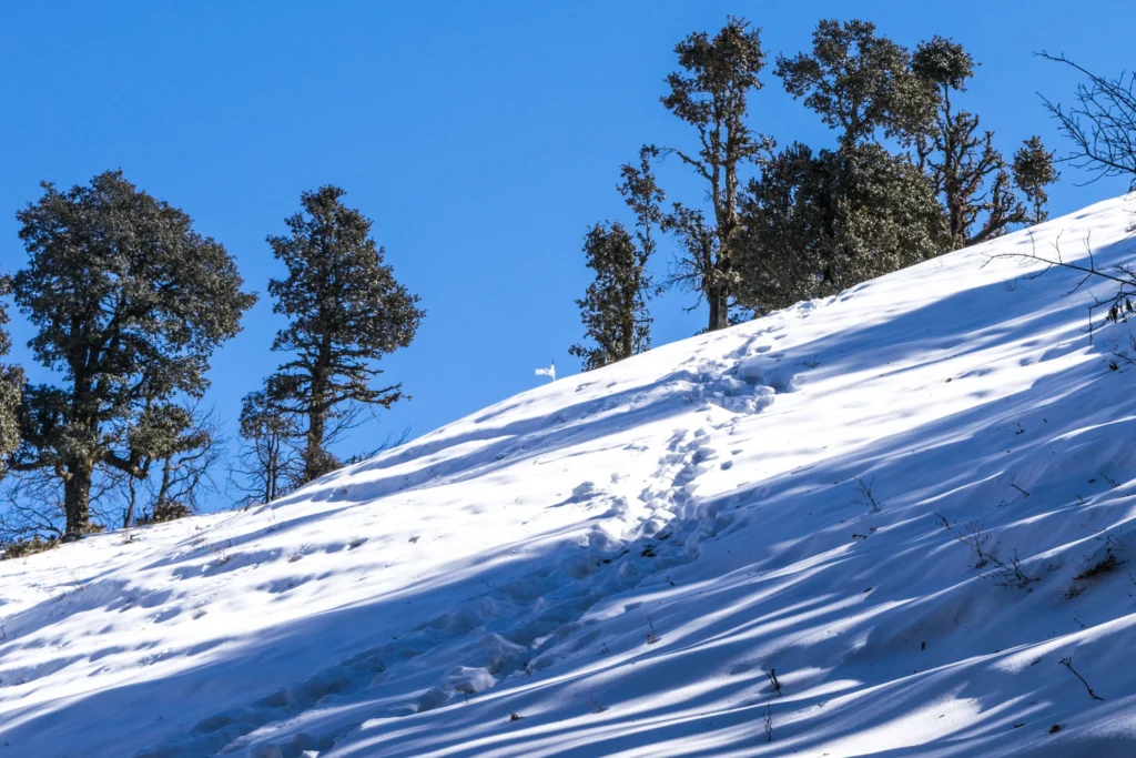 Snow covered Nag Tibba Trail