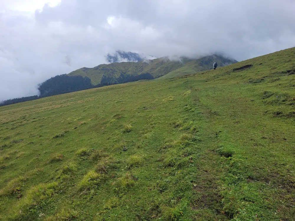 ali bedni bugyal is the Asia's highest