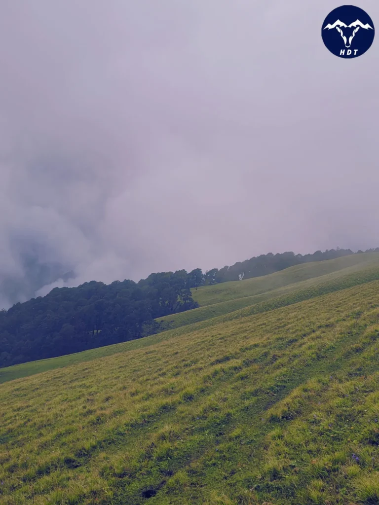 passing through forest and vast grassland of Ali Bedni Bugyal