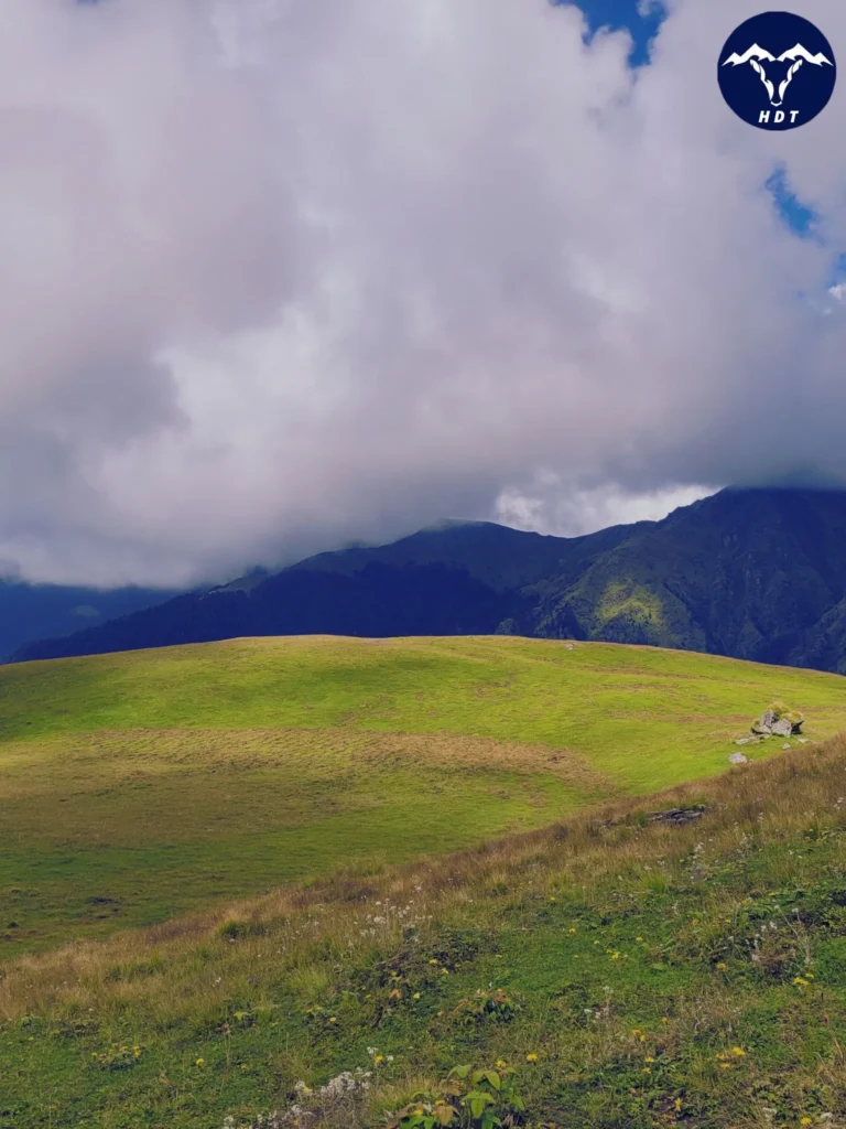 vast grassland of Ali Bedni Bugyal