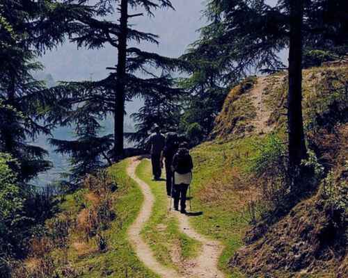 Mussoorie is perfect for nature walking including trails of Nag Tibba, Cloud's End etc.