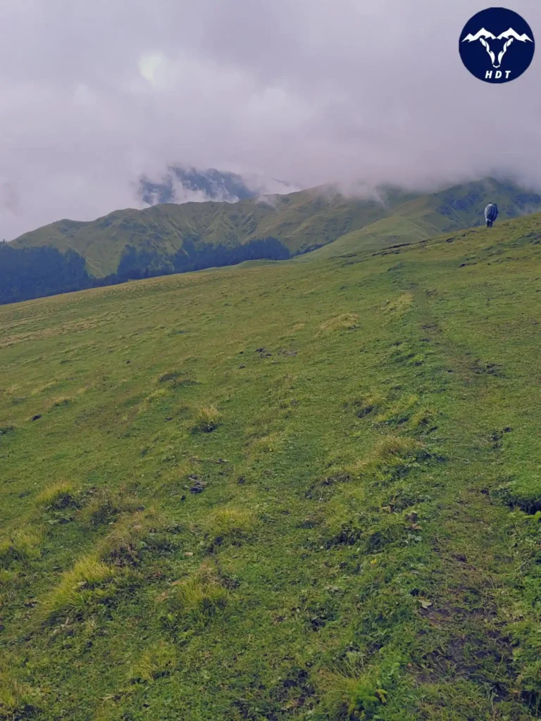 beautiful meadows of Ali Bedni Bugyal