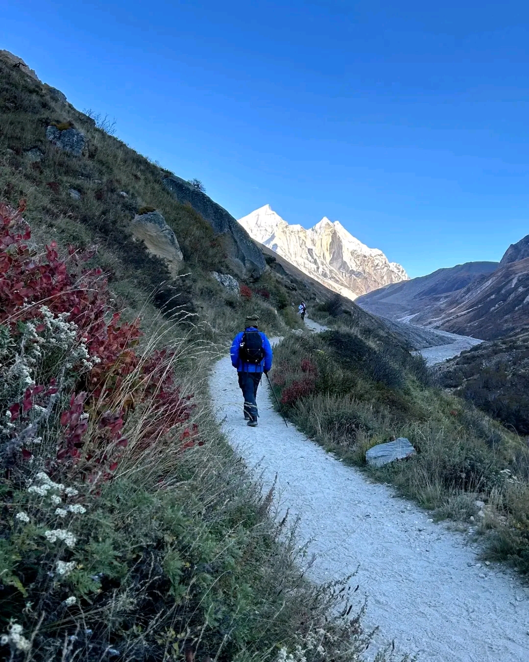 Gaumukh Tapovan Trek