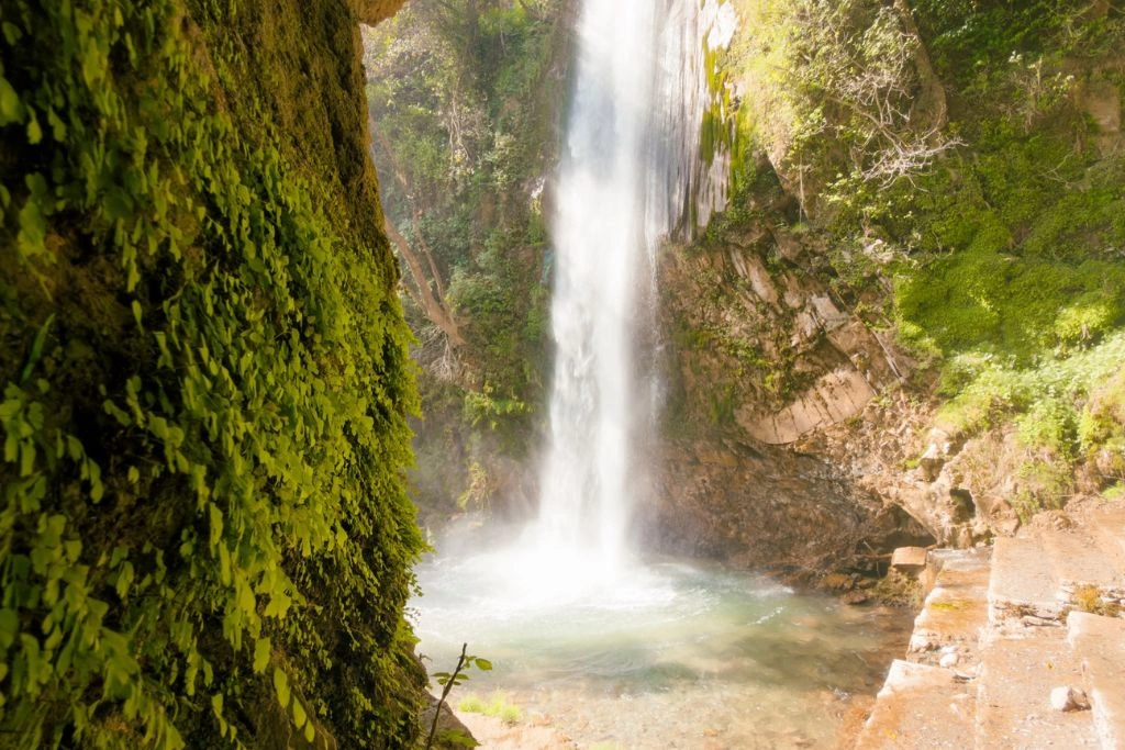 Tiger falls in Chakrata
