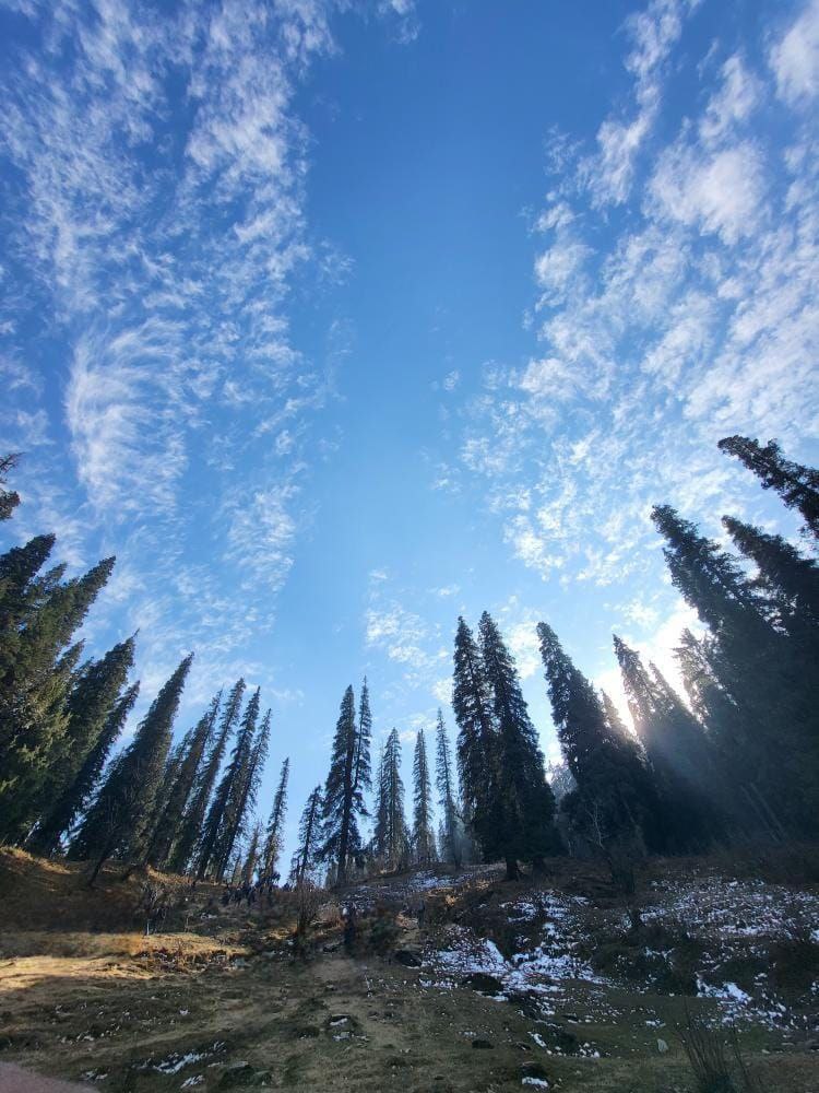 Kuari Pass Trek