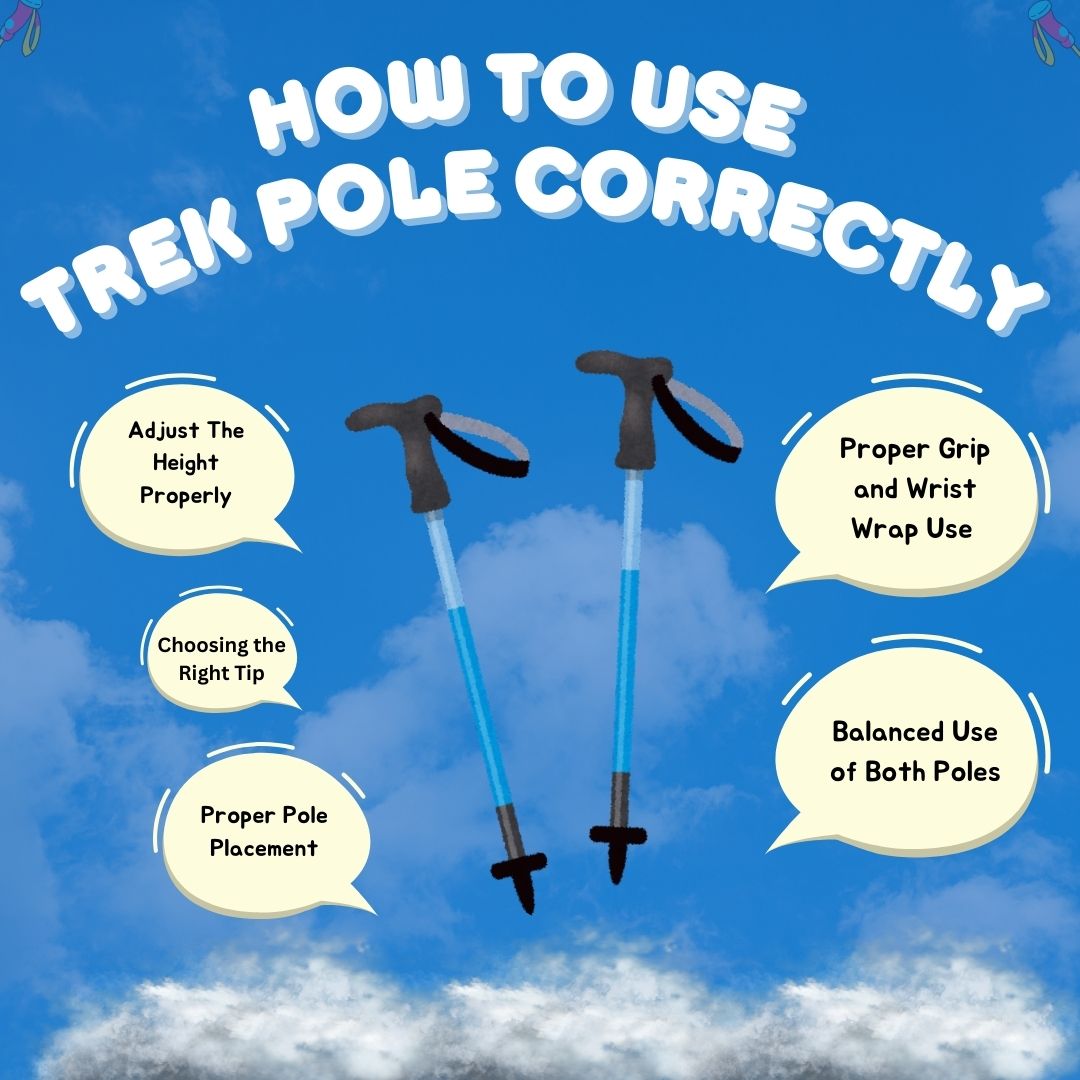 How to use Trek Pole Correctly