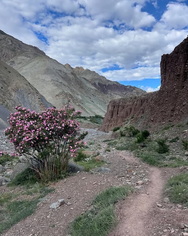 Markha Valley Trek
