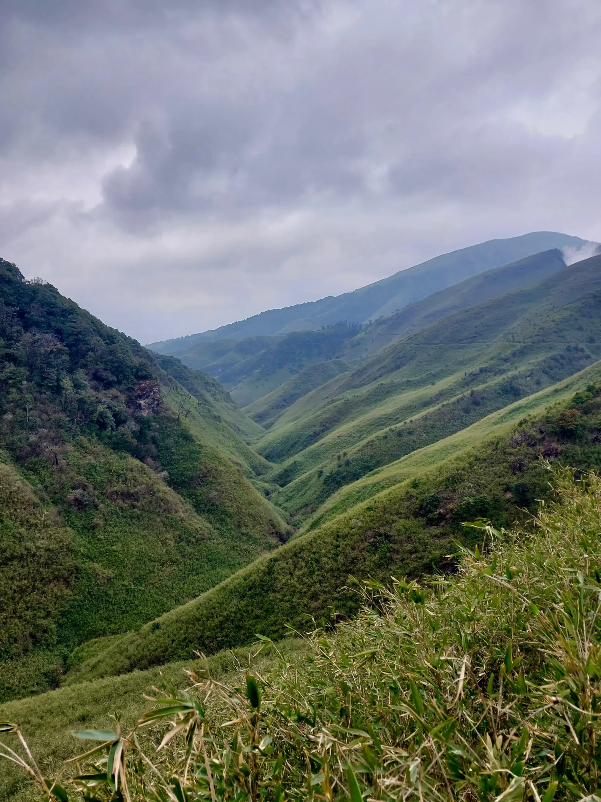 Way to Dzukou