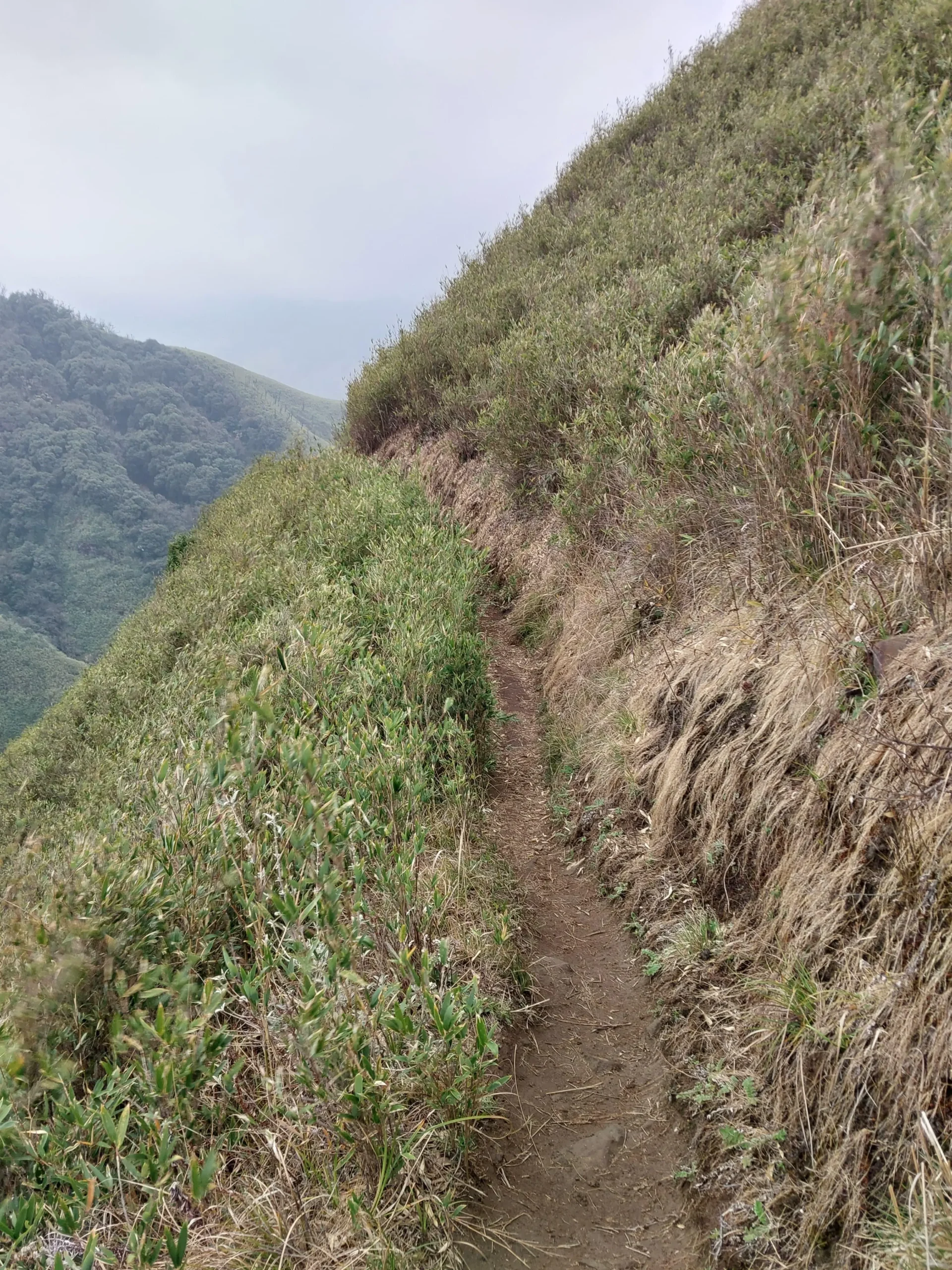 Towards Dzukou Valley 