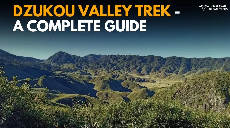 Dzukou Valley Guide