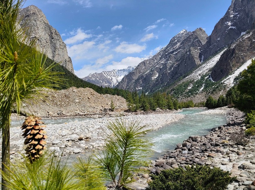 Nanda Devi National Park