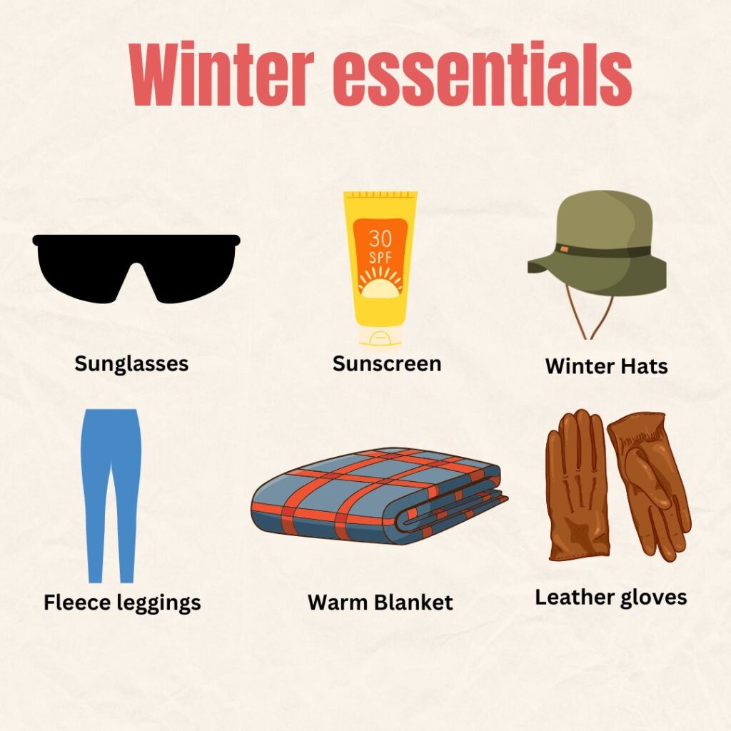 Winter Essentials