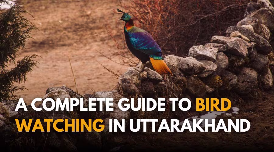 Bird Watching in Uttarakhand
