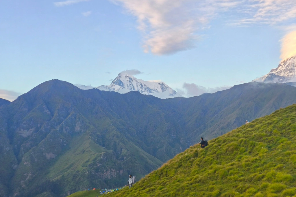 Beautiful Bugyal with Himalayan View