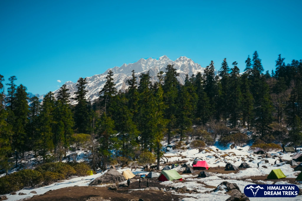 Colorful tents at Khullara Campsite surrounded by snow, pine forests, and Himalayan peaks