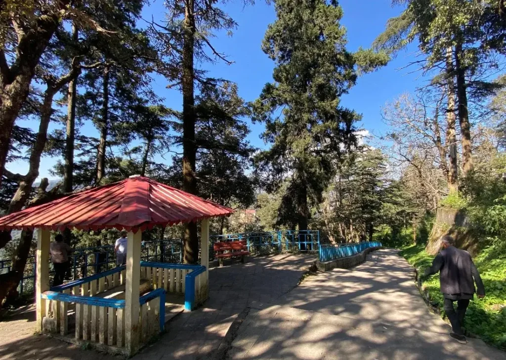 Chakrata Hill Station