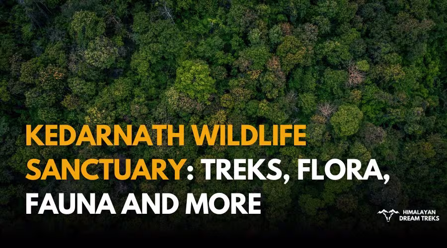Kedarnath Wildlife Sanctuary