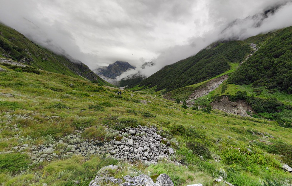 trekking in valley of flowers