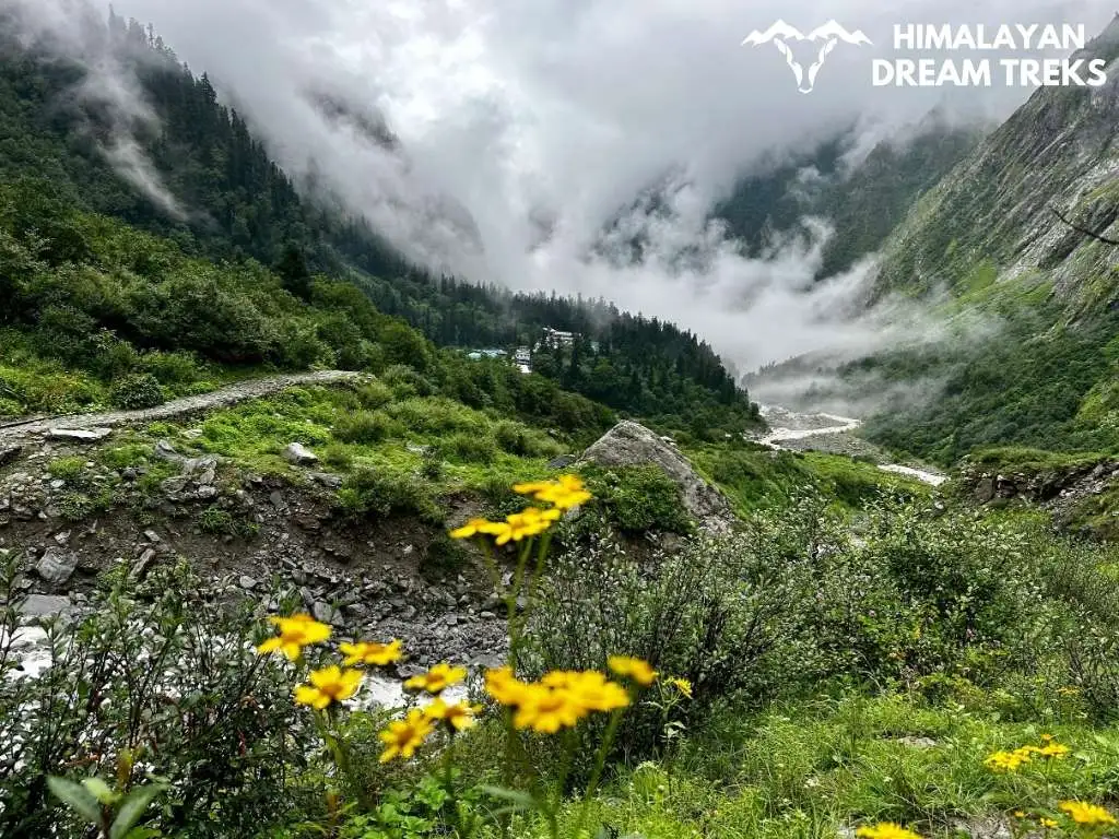 Ghangaria Village framed by lush greenery vibrant wildflowers and rolling fog