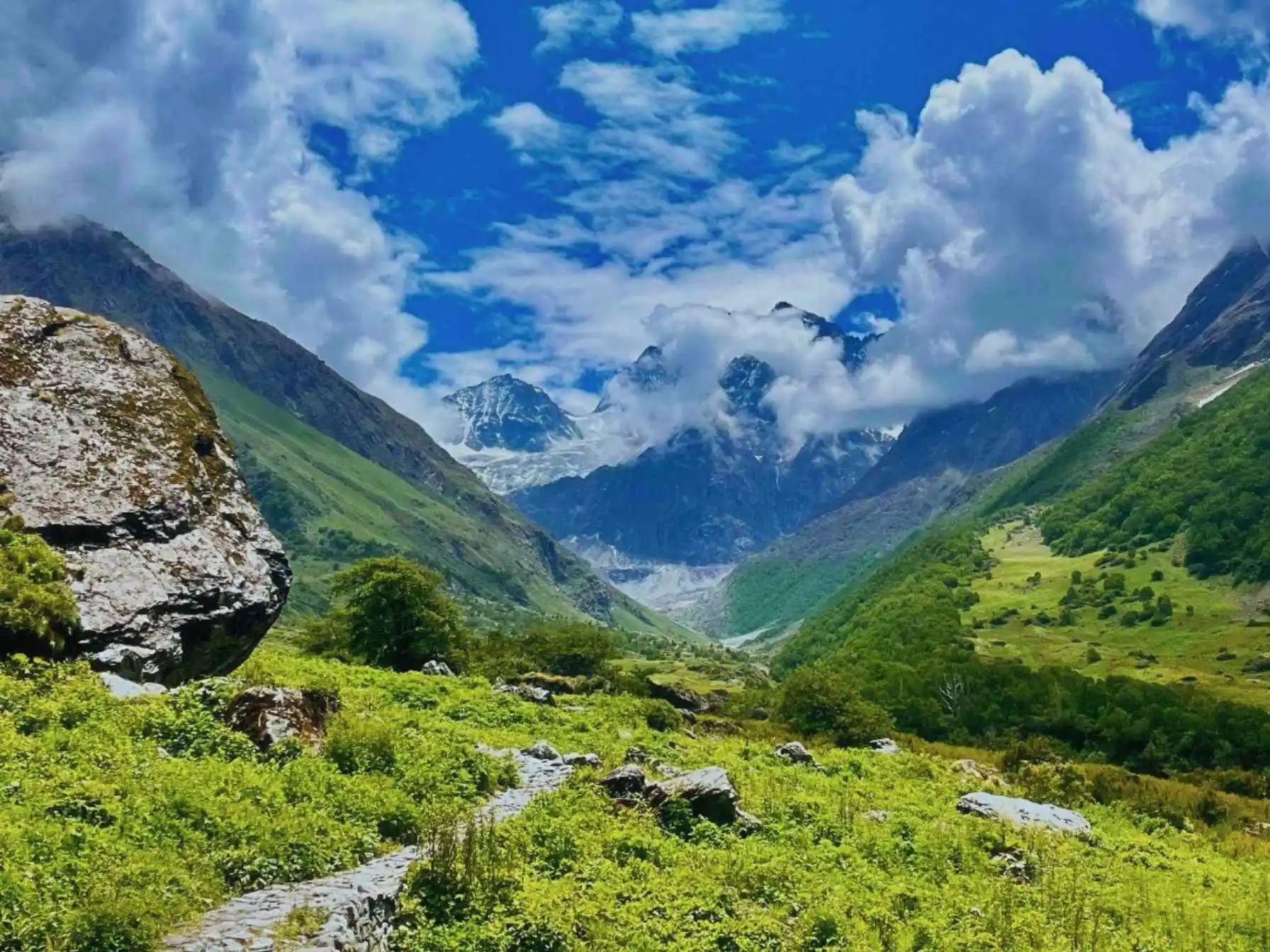 Valley of Flowers trek, Uttarakhand