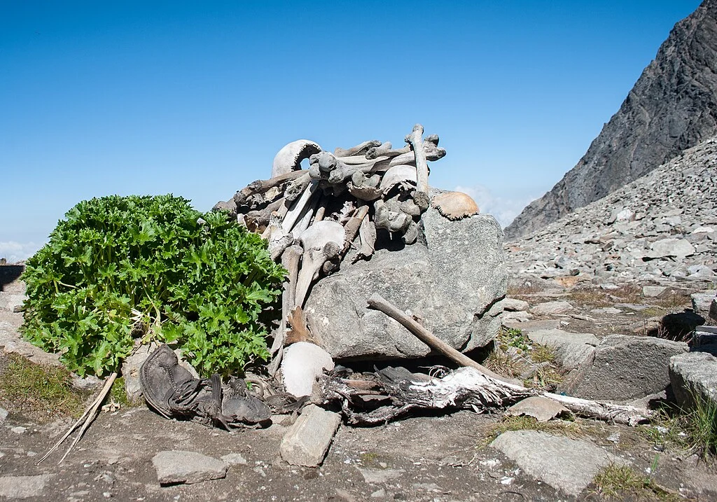 Skeletons at Roopkund
