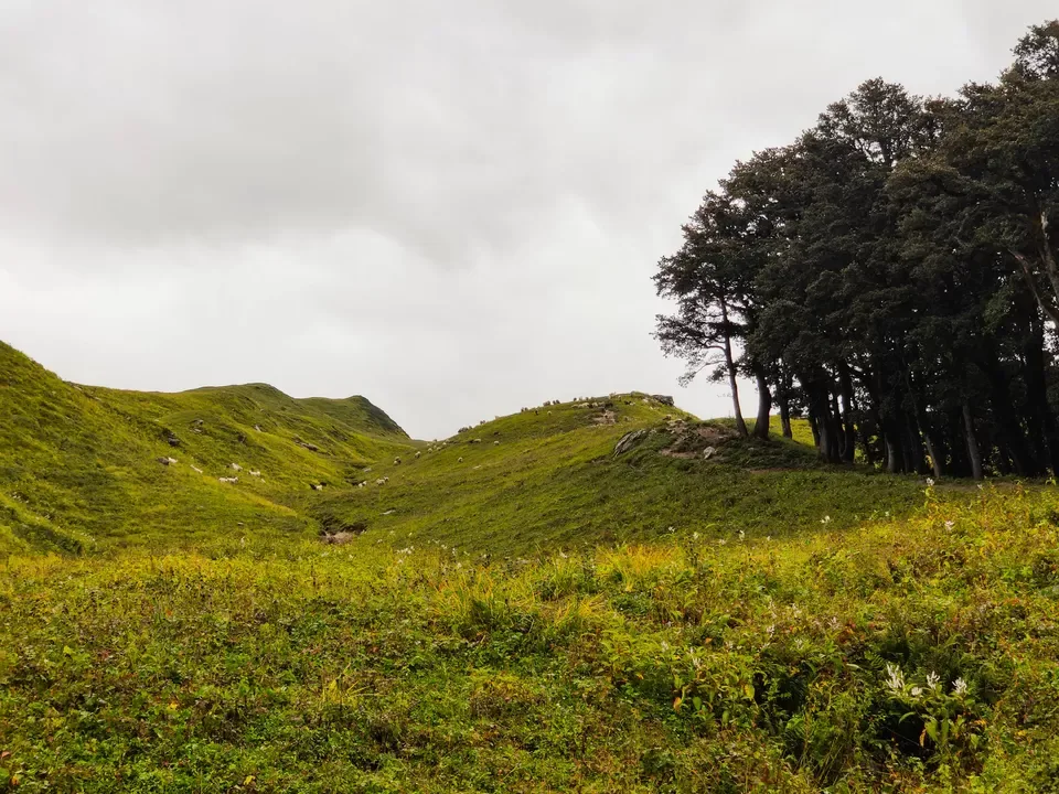 Meadow enroute Bhrigu