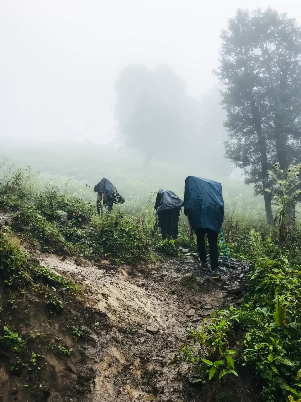 Slippery trail of Bhrigu