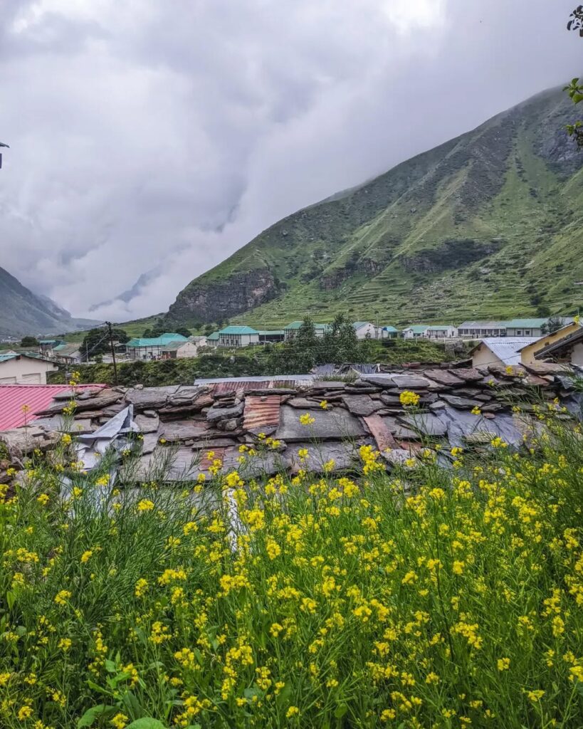 Mana Village with blooming yellow flowers in the foreground