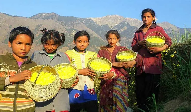 Phool Dei Festival