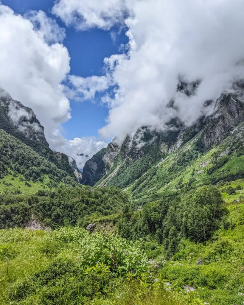 A scenic view of the Valley of Flowers 
