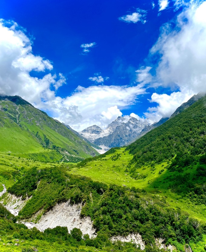 Lush green Valley of Flowers with snowy Himalayan peaks in the background