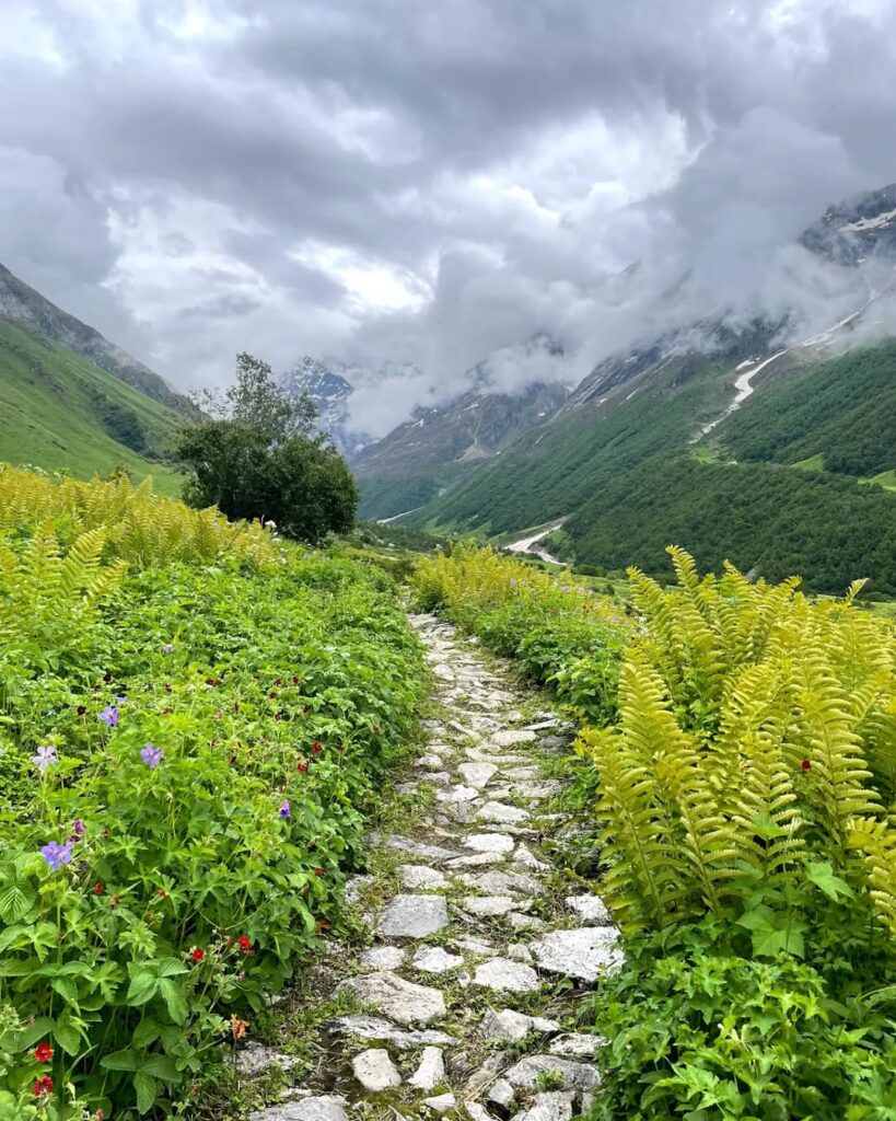 valley of flower trek
