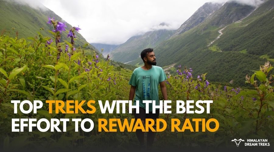 Best Trek Reward Ratio
