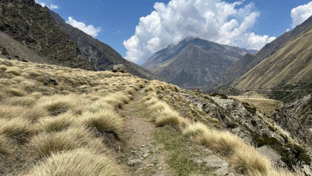 Grasslands during the Nanda Devi East Base Camp Trek
