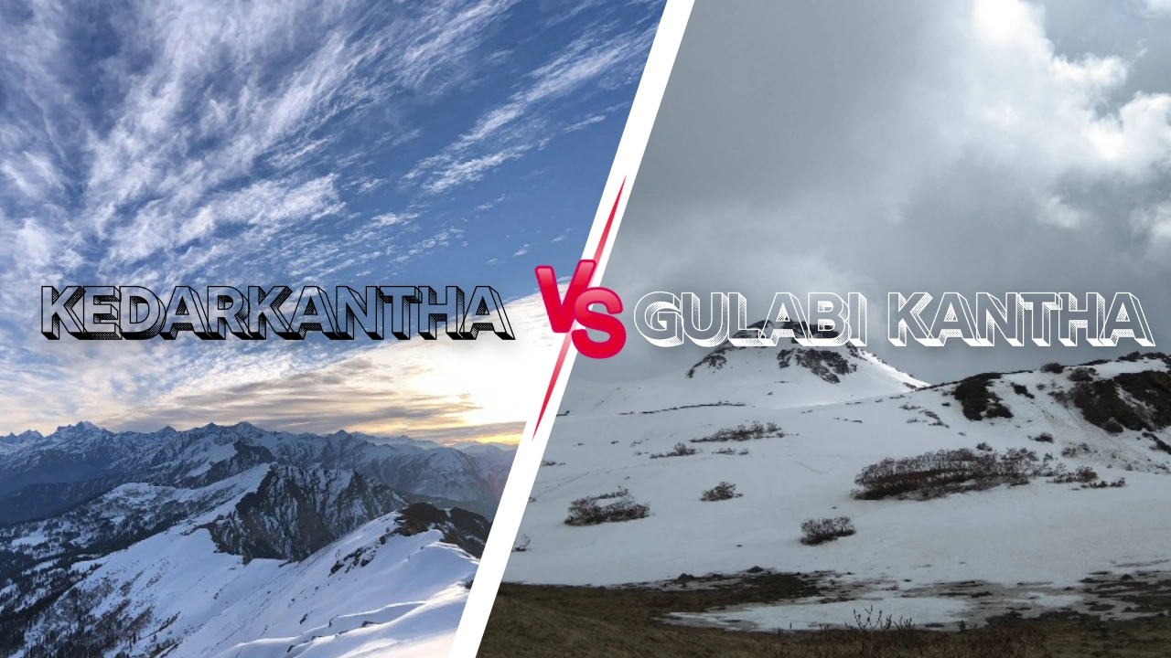 Kedarkantha vs Gulabi Kantha