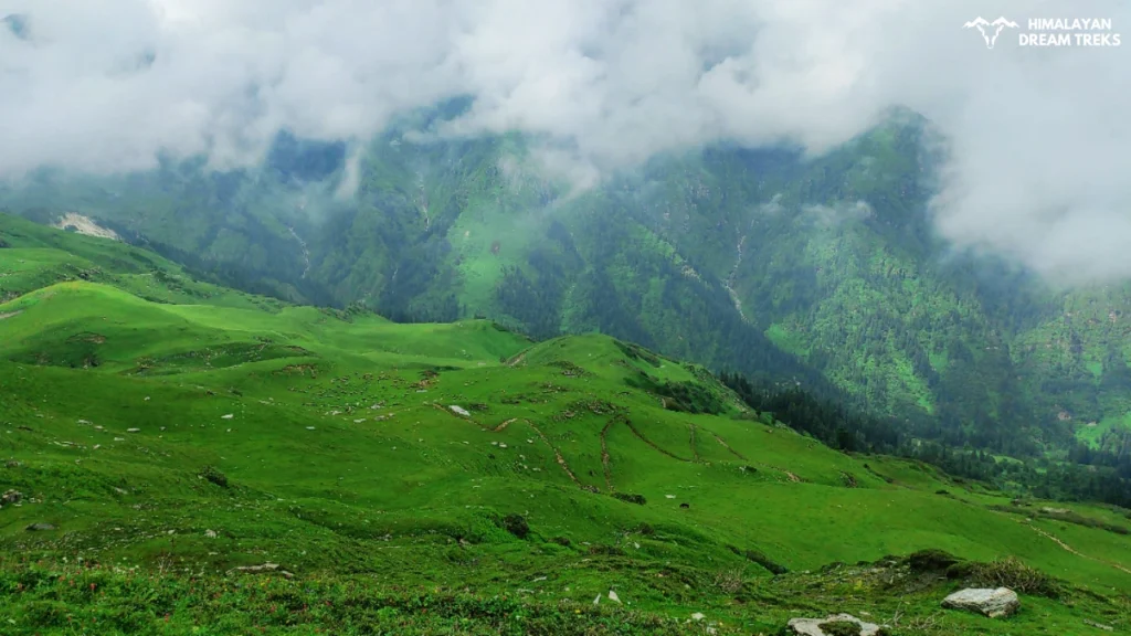 Meadows around Gulabi Kantha