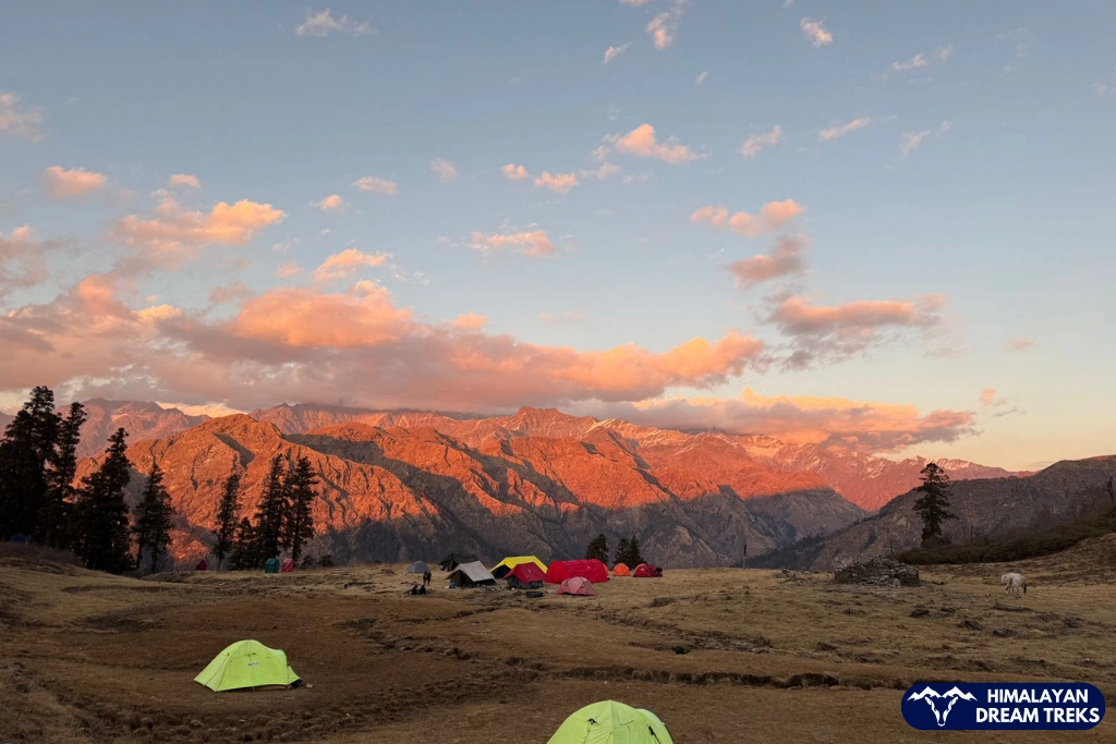 Campsite at Seema Thatch during Gulabi Kantha Trek