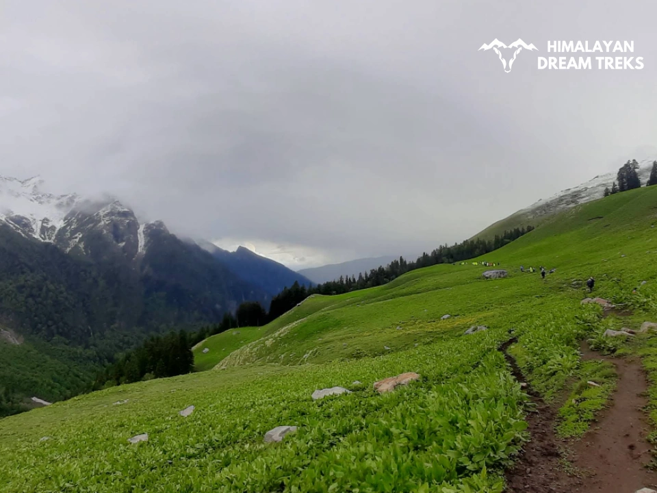 Lush green meadow in Buran ghati